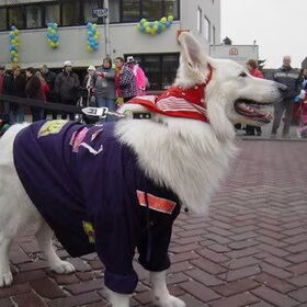 Mexx feestje