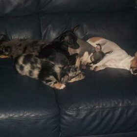 Lieff He :D