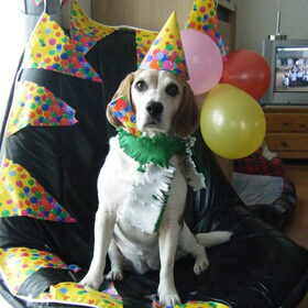 Ja ja alweer 7 jaartjes!
