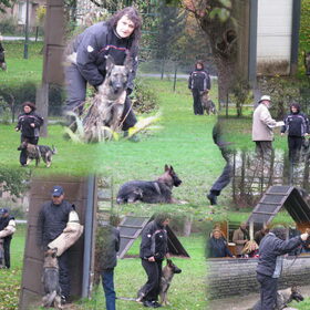 ruhna in actie