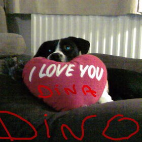 dino in love
