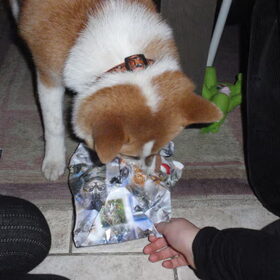 een cadeautje voor Lena