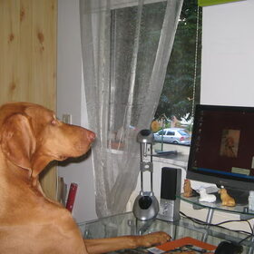 Achet de pc!