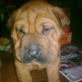 Geen titel