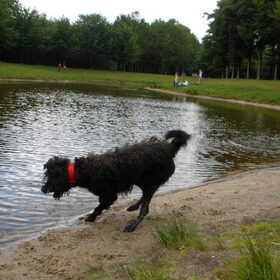 Ruzie met een paaltje