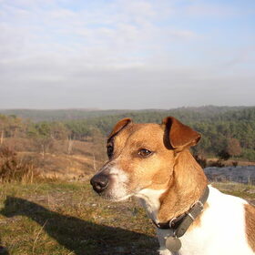 Spikey en uitzicht!