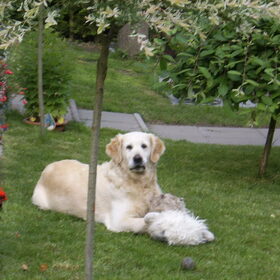 donja zonnebaden