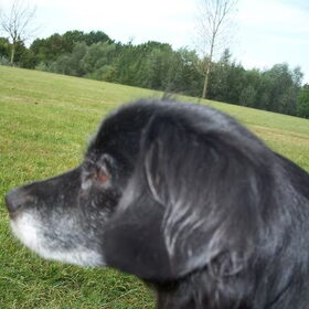 mien