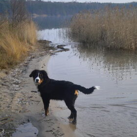 Zyko aan het water ...
