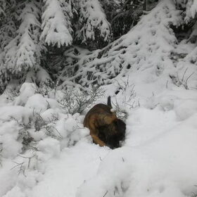 In de sneeuw