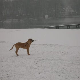 hoezo veel sneeuw...