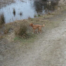heerlijk wandelen en rennen...