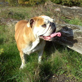 onze mienie me