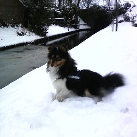 Een prinsje in de sneeuw!