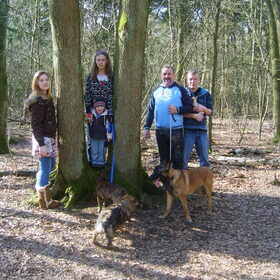 in het bos zij de wilde dieren