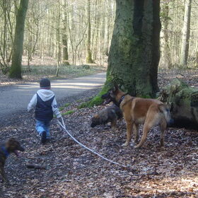 dingo en jp aan de wandel in het bos