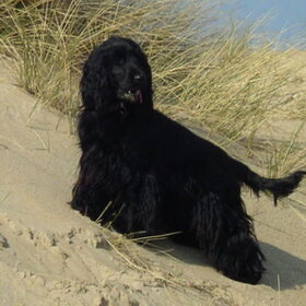 Aan zee