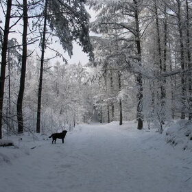 Winterlandschap:D