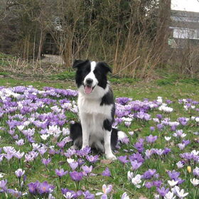 Lente.
