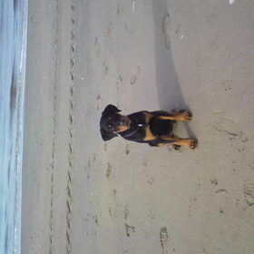 Voor het eerst op het strand