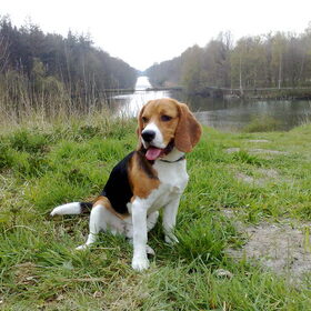Kay in Kuindere bos