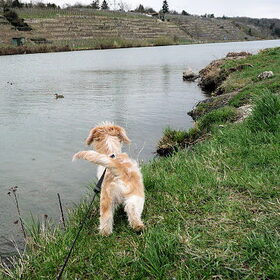Aan de oever van de Neckar