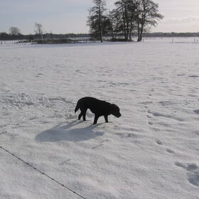 in de sneeuw