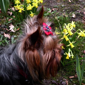 Mandy vindt de omgeving prachtig nu het lente is.