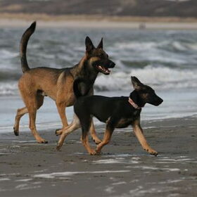 pa en dochter op het strand