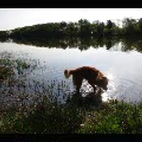lekker in het water badderen