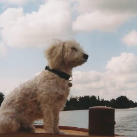 Gentle op de boot