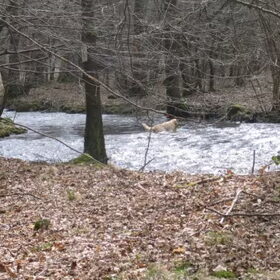 ardennen