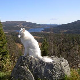 Nuka on the Rocks