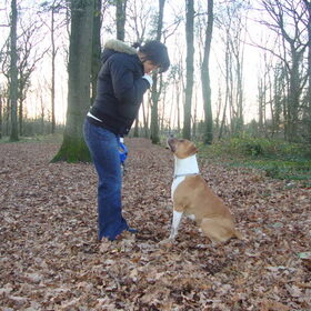 Chico let op!