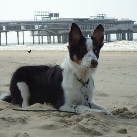 Scheveningen