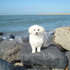 Quinty onze beachbabe