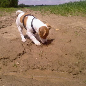pukkie lekker in de modder graven :D
