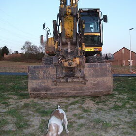 Spikey vs. de grote graafmachine!