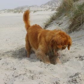 GRAVEN !!!
