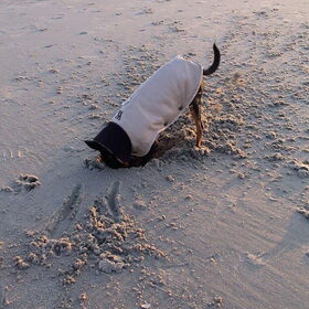 Lina graaft in het zand