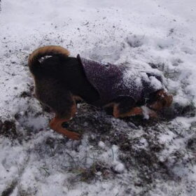 Lekker in de sneeuw!