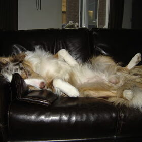 Chillen