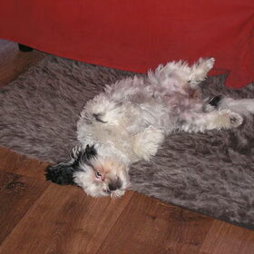 Angel op haar rug met scheve kop