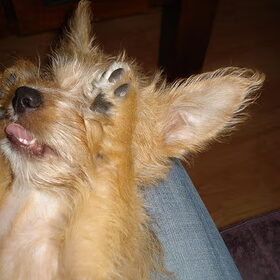 :P