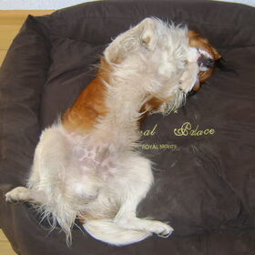 Zzzzzzzzzz....Sil !!!!