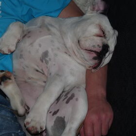 Luna 5 maand