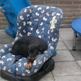 jyll in de kinderstoel