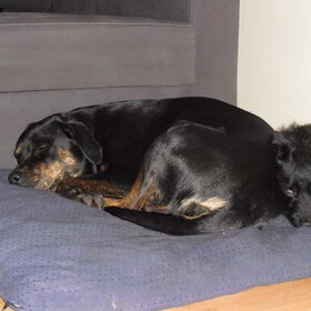 Lief lui met z'n 2