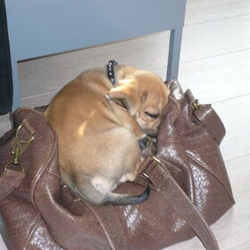 Joep wil niets missen...