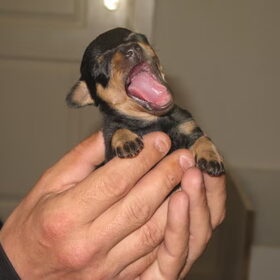 Zoooooooooo lui